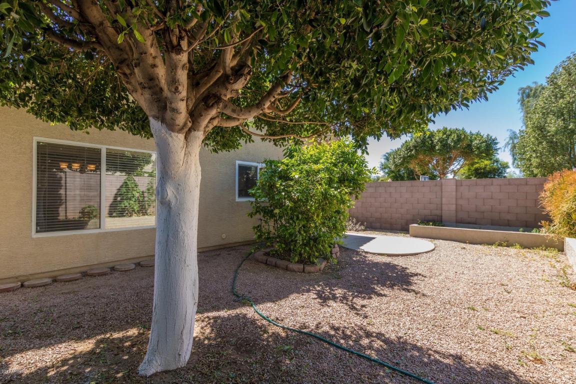 1958 E Bluefield Ave, Phoenix, AZ 85022 photo 32