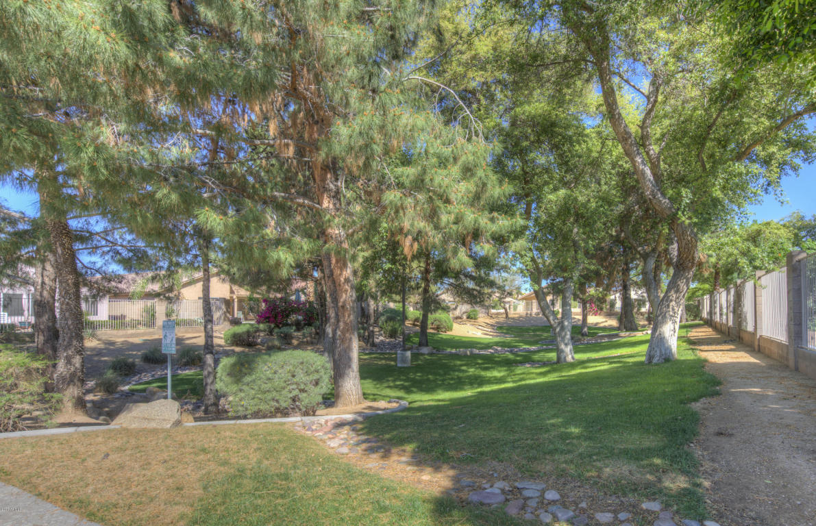 2041 E Helena Dr, Phoenix, AZ 85022 photo 35