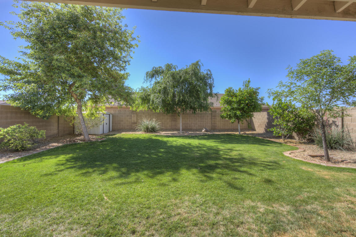 2041 E Helena Dr, Phoenix, AZ 85022 photo 29