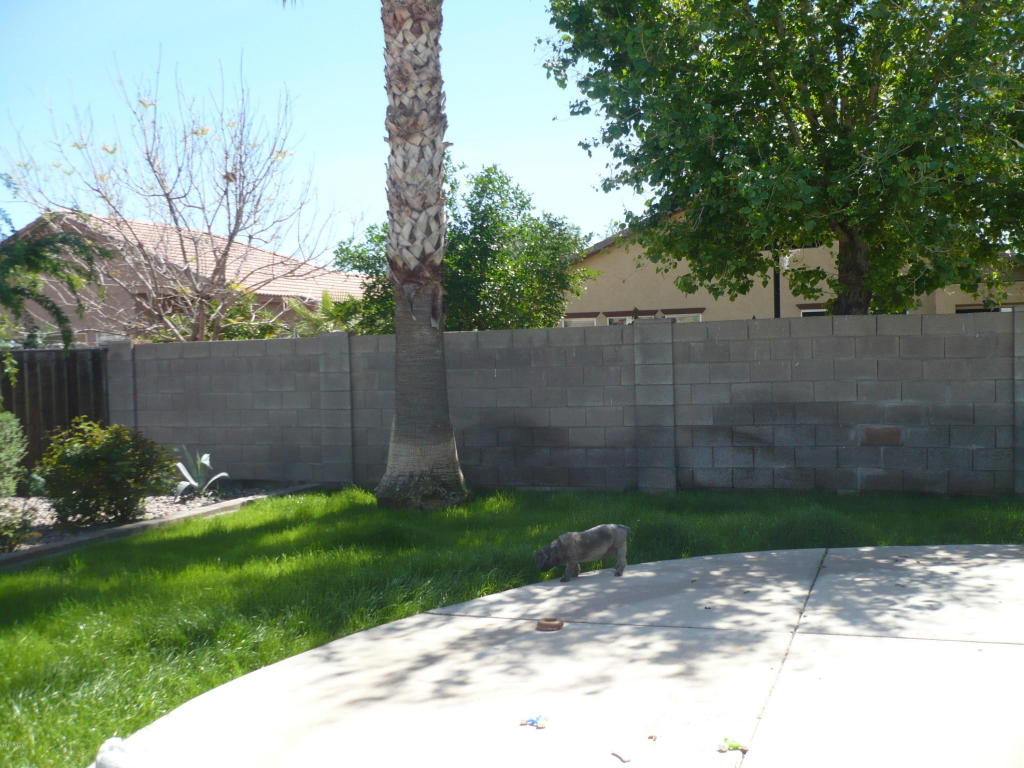7825 E Glade Ave, Mesa, AZ 85209 photo 19
