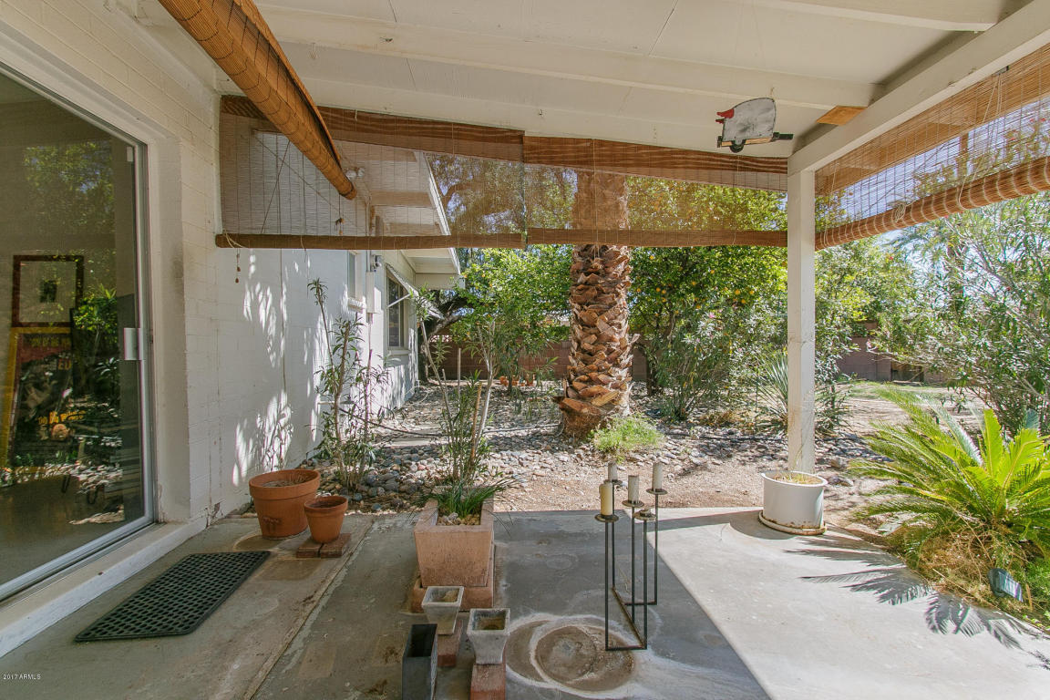 3901 E Sahuaro Dr, Phoenix, AZ 85028 photo 27