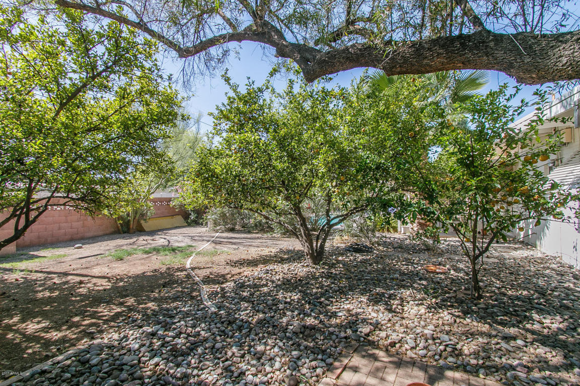 3901 E Sahuaro Dr, Phoenix, AZ 85028 photo 24