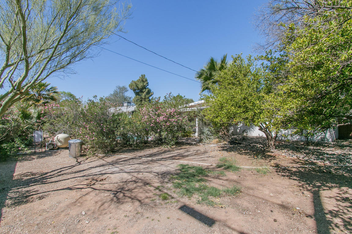 3901 E Sahuaro Dr, Phoenix, AZ 85028 photo 22