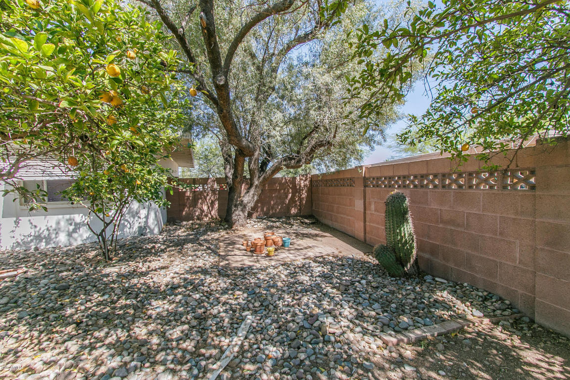 3901 E Sahuaro Dr, Phoenix, AZ 85028 photo 23