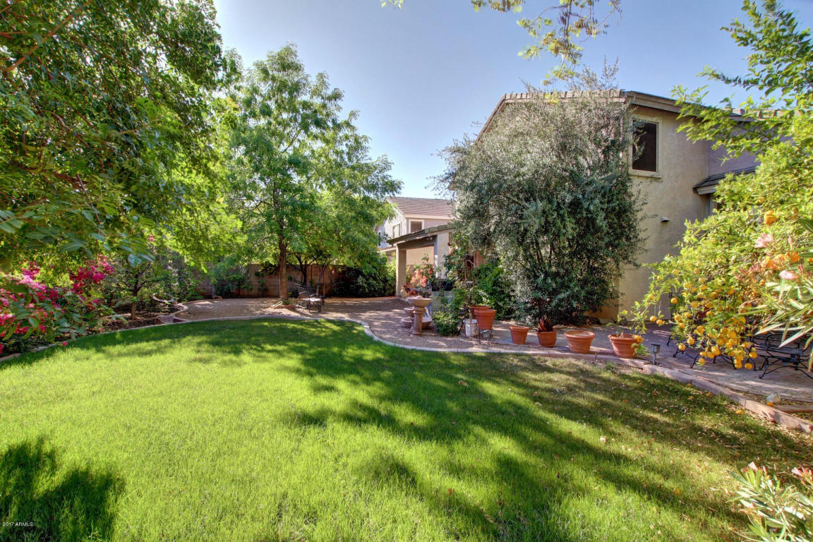 3353 E Washington Ave, Gilbert, AZ 85234 photo 31