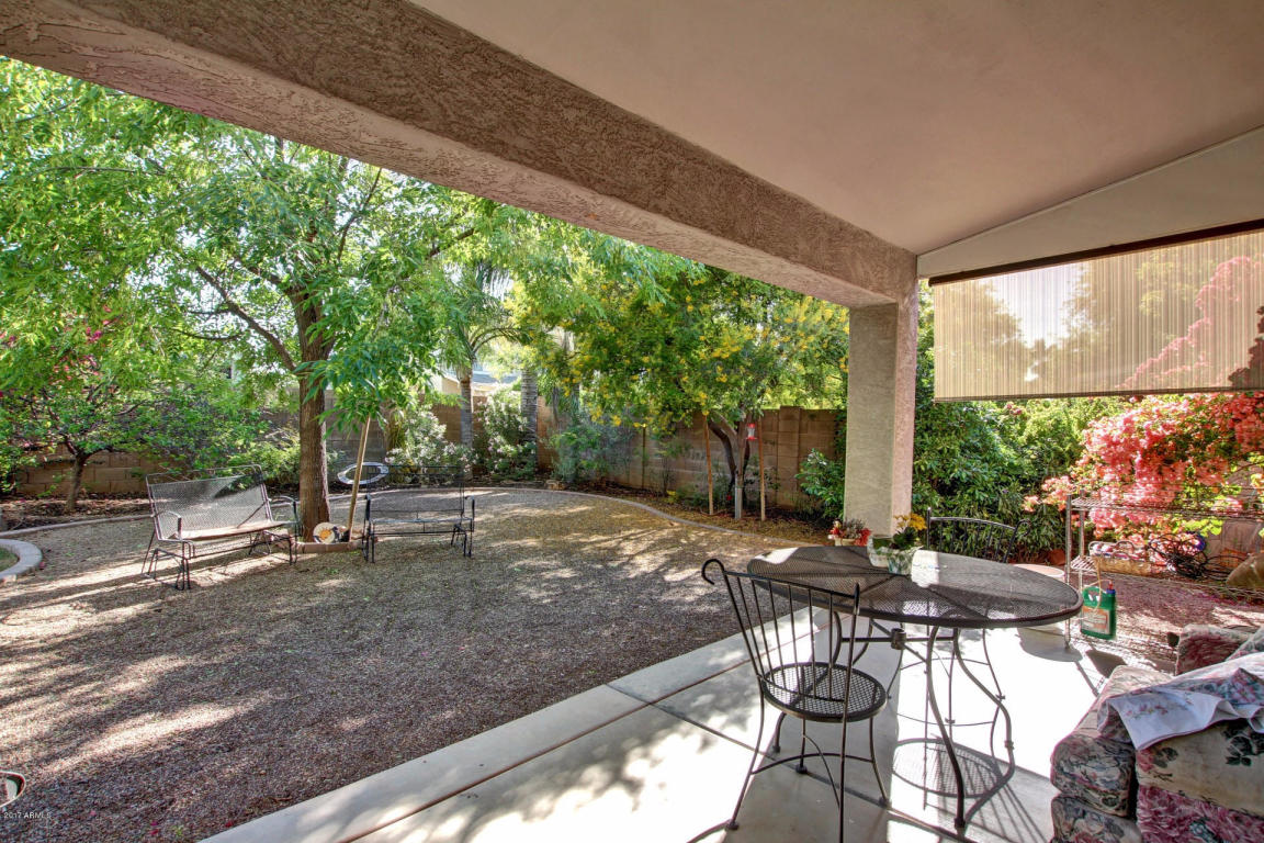 3353 E Washington Ave, Gilbert, AZ 85234 photo 33