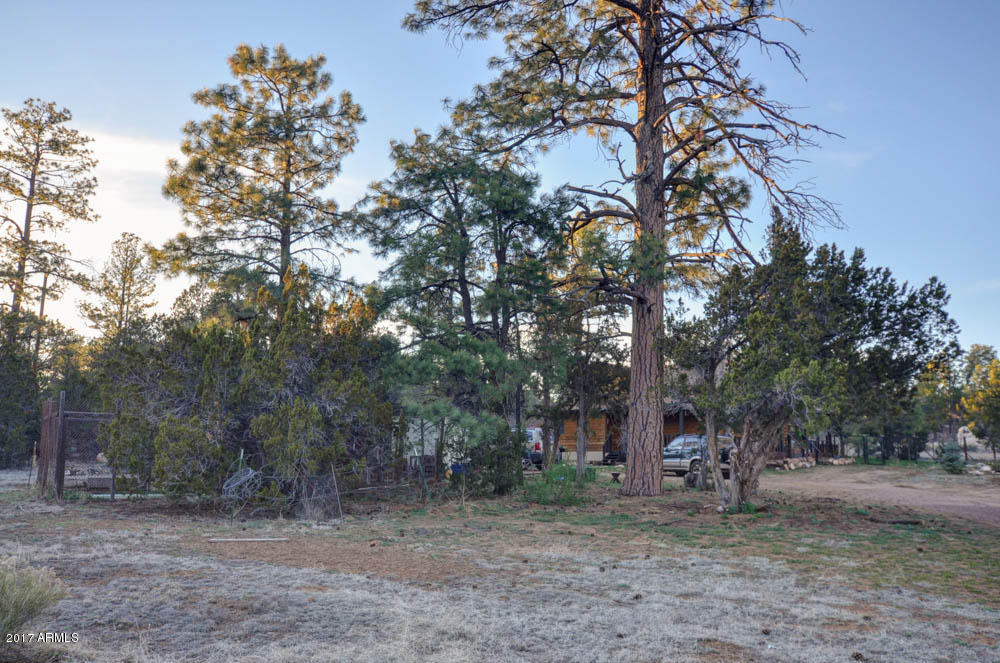 3322 Ox Bow Bnd, Overgaard, AZ 85933 photo 21