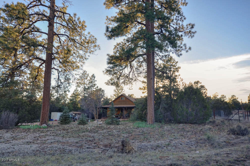 3322 Ox Bow Bnd, Overgaard, AZ 85933 photo 19