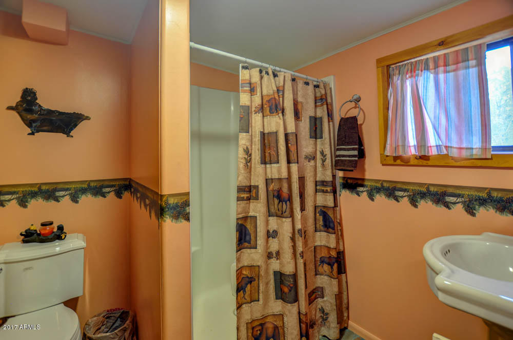 3322 Ox Bow Bnd, Overgaard, AZ 85933 photo 9