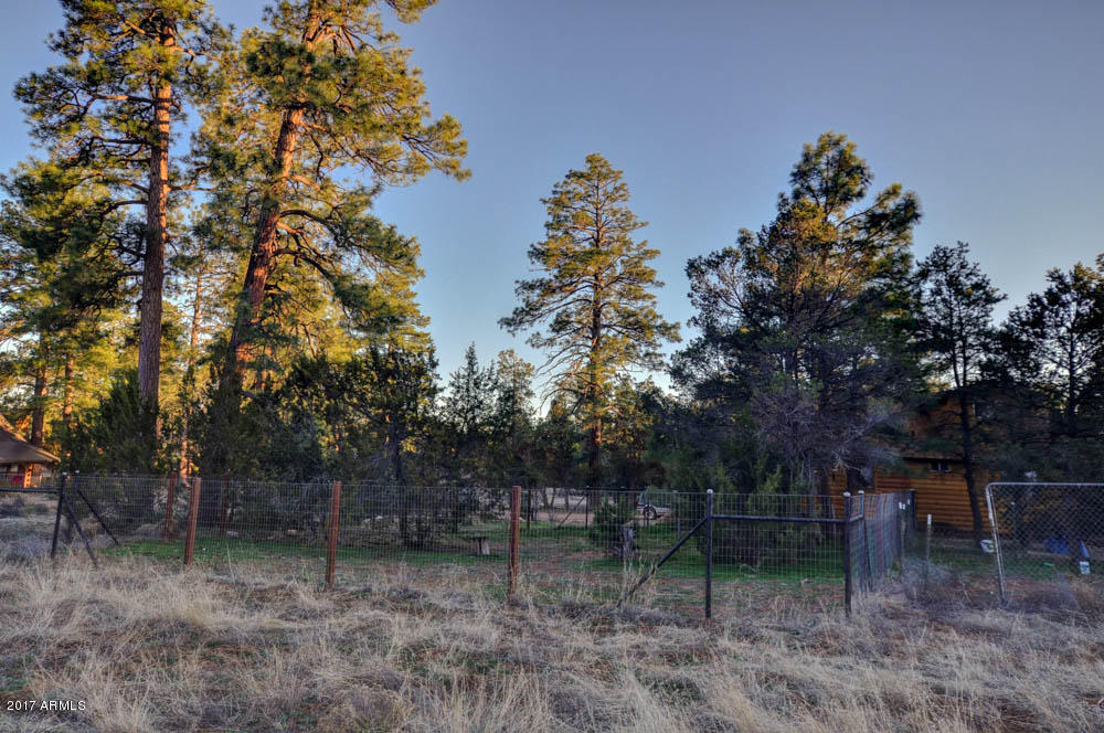 3322 Ox Bow Bnd, Overgaard, AZ 85933 photo 18