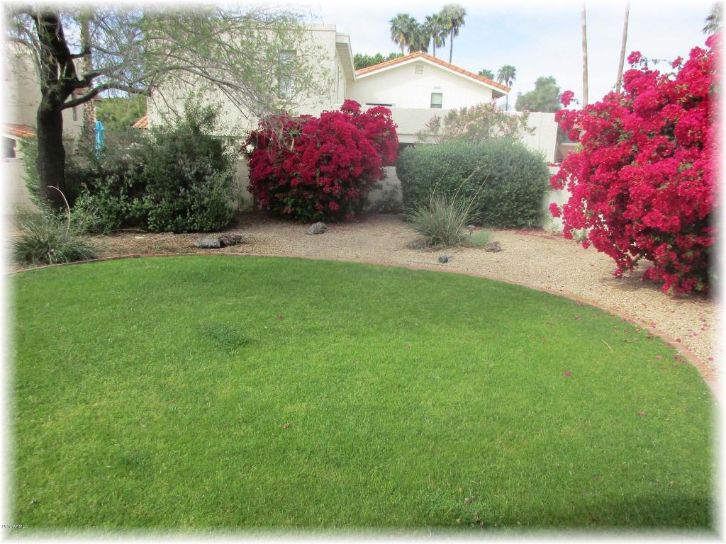 1809 E Desert Park Ln, Phoenix, AZ 85020 photo 18