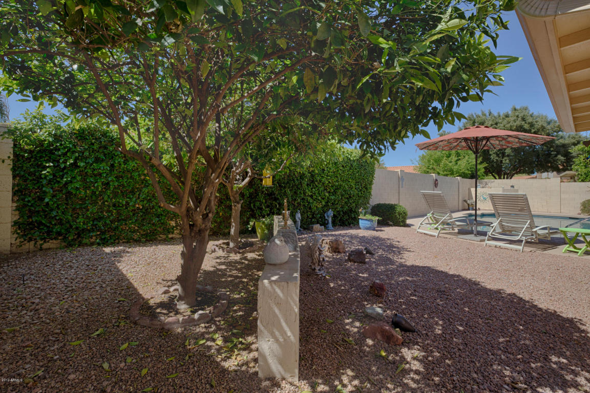 243 E Stonebridge Dr, Gilbert, AZ 85234 photo 27