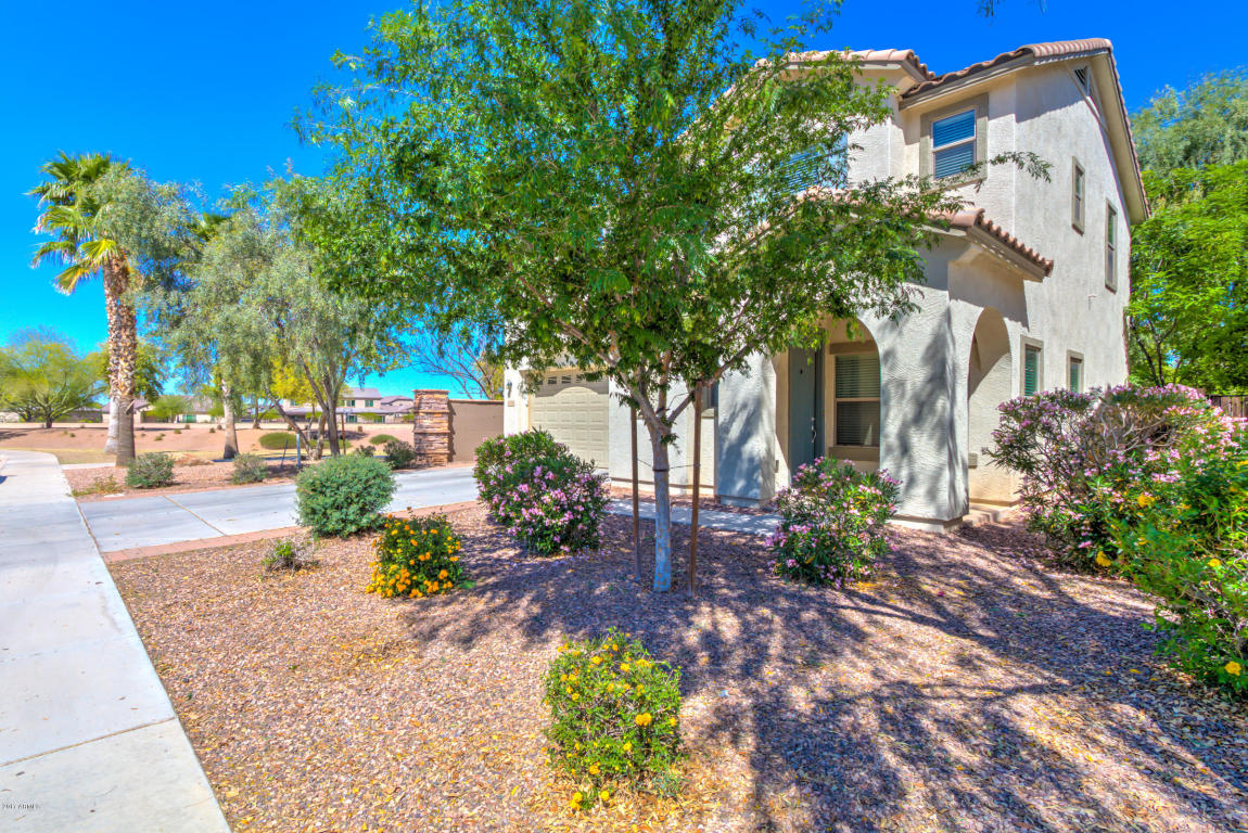 1172 E Buffalo St, Gilbert, AZ 85295 photo 3