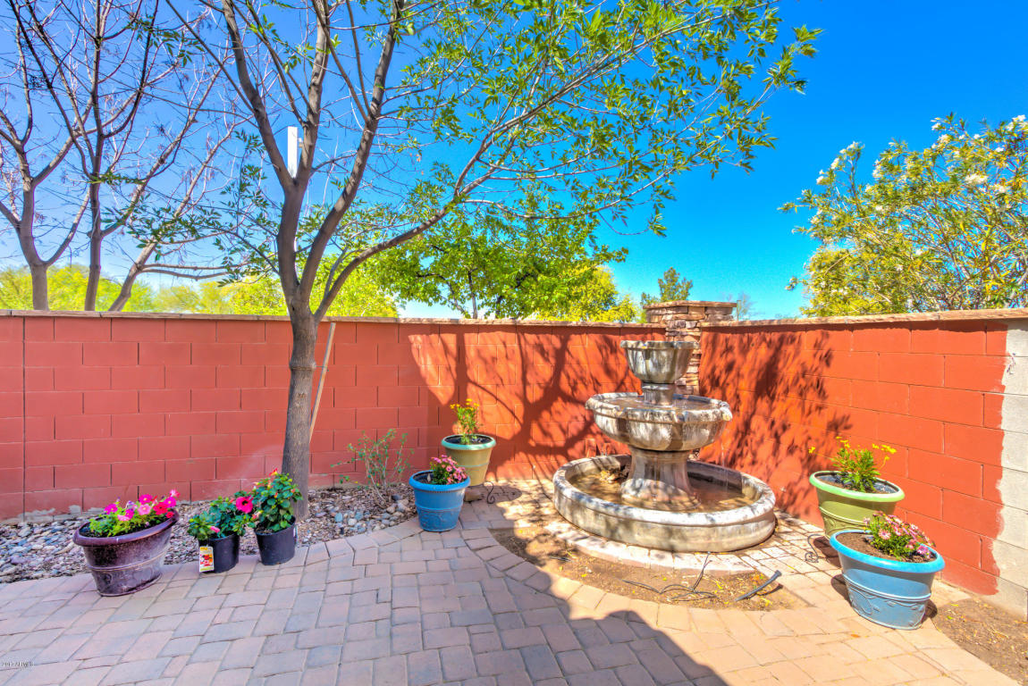 1172 E Buffalo St, Gilbert, AZ 85295 photo 42