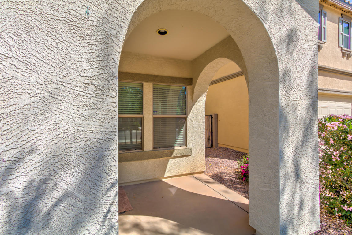 1172 E Buffalo St, Gilbert, AZ 85295 photo 5