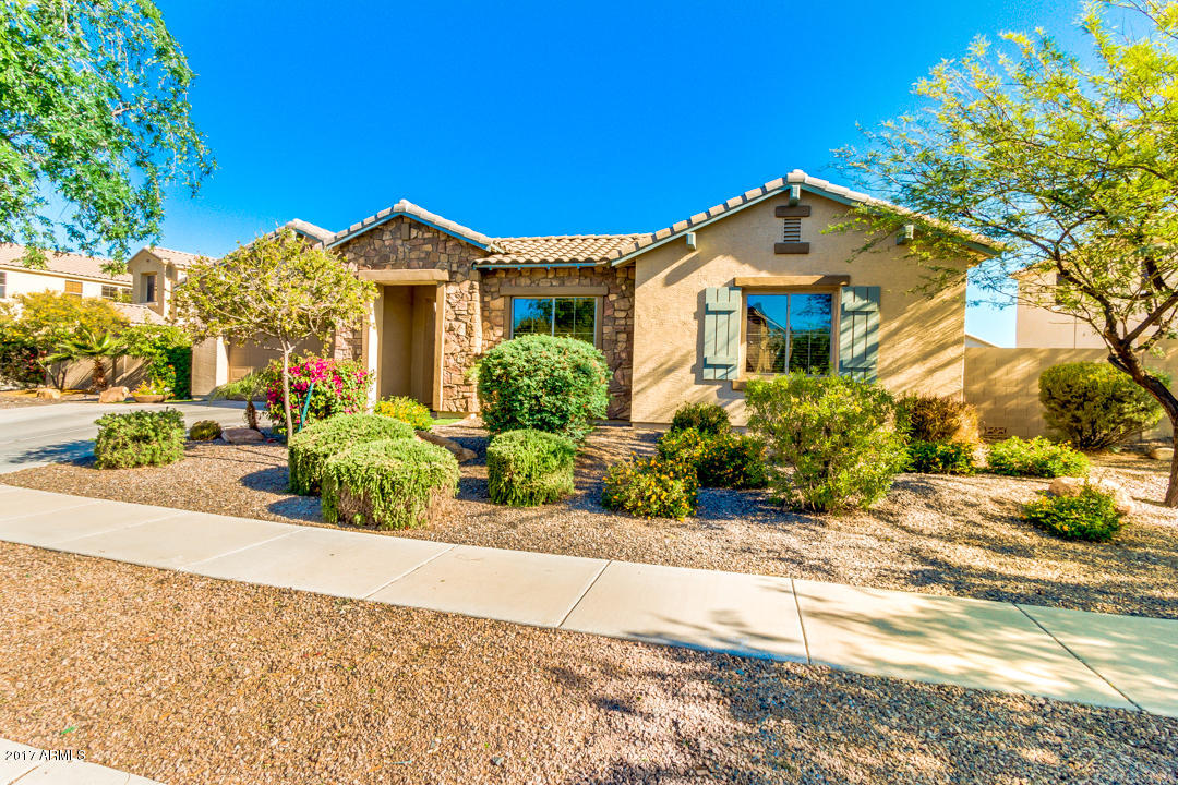 2870 E Flower St, Gilbert, AZ 85298 photo 3