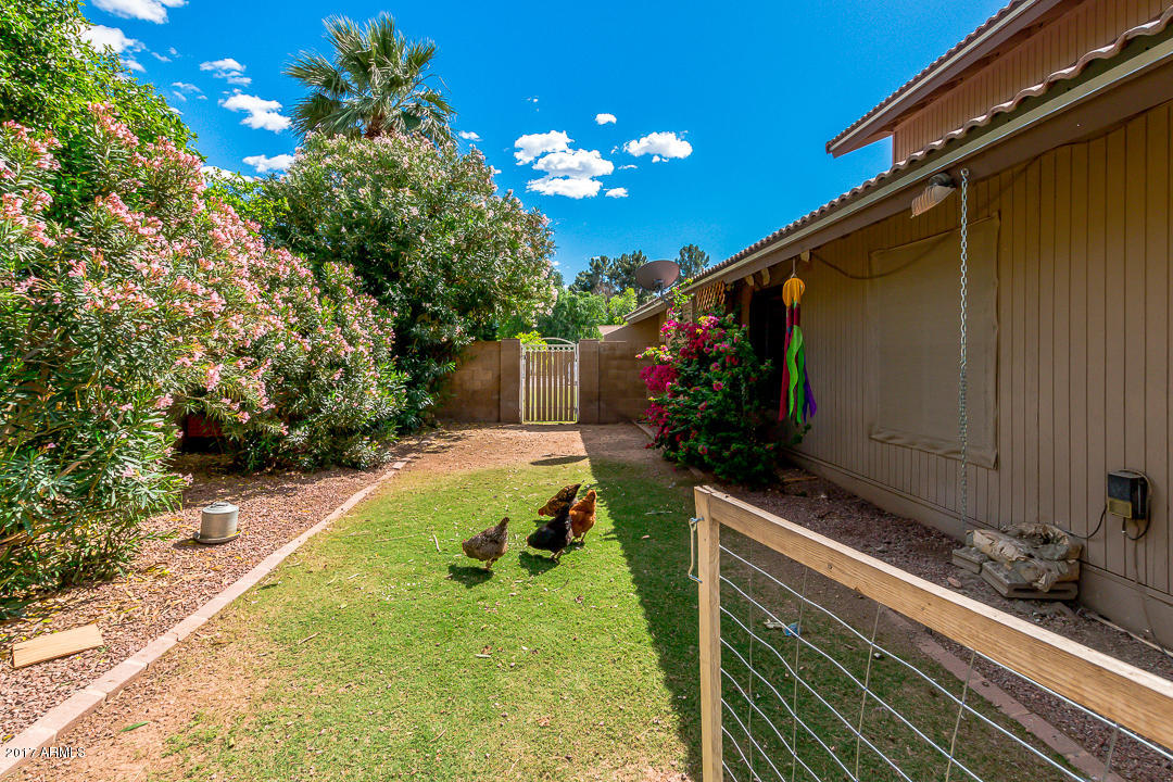 3126 E Fairbrook St, Mesa, AZ 85213 photo 46