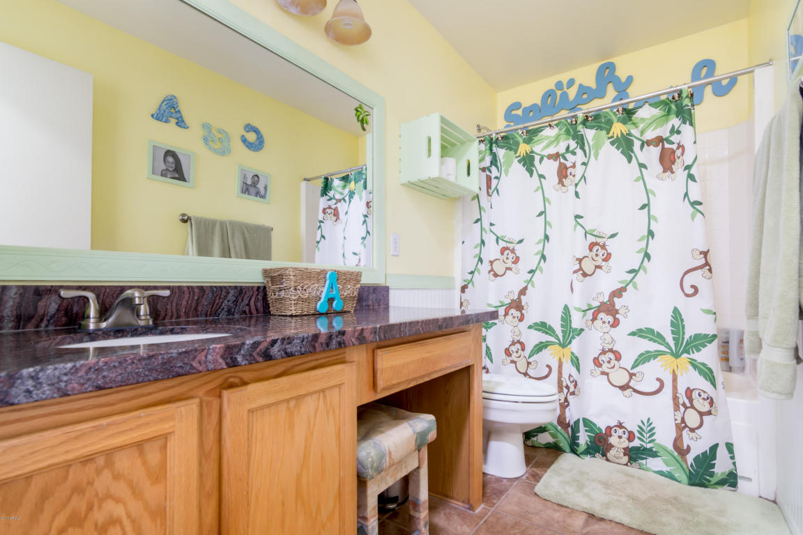 298 E Baylor Ln, Gilbert, AZ 85296 photo 16