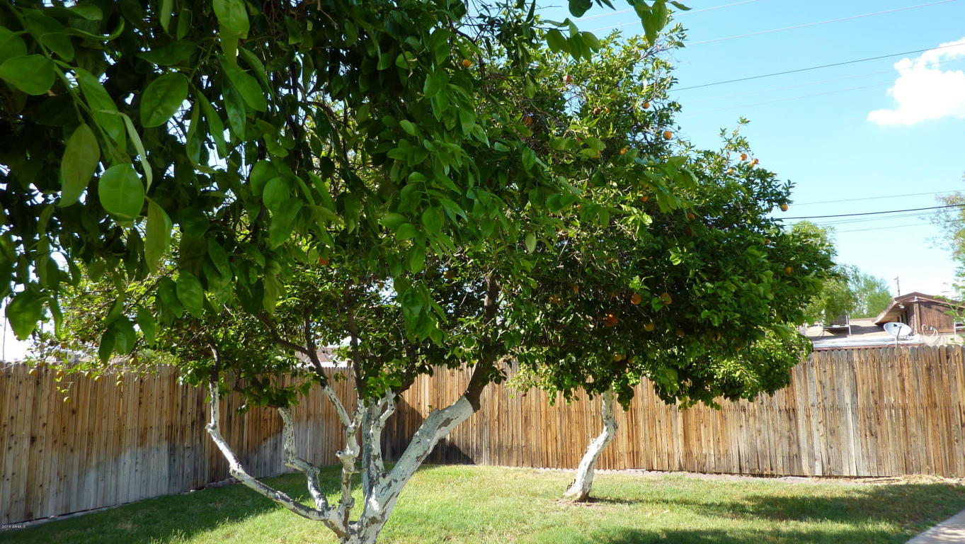 3422 E Oak St, Phoenix, AZ 85008 photo 23