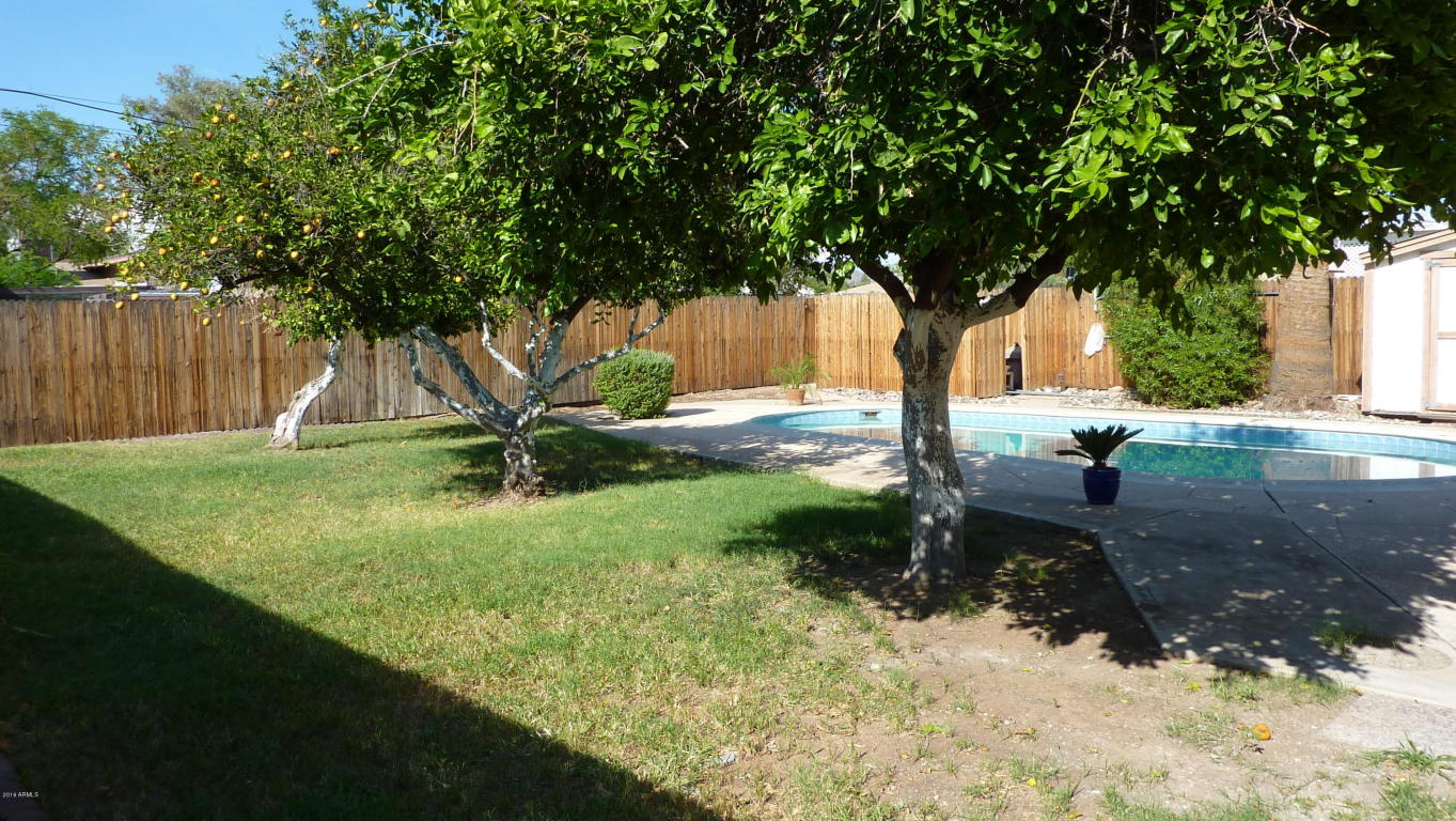 3422 E Oak St, Phoenix, AZ 85008 photo 21