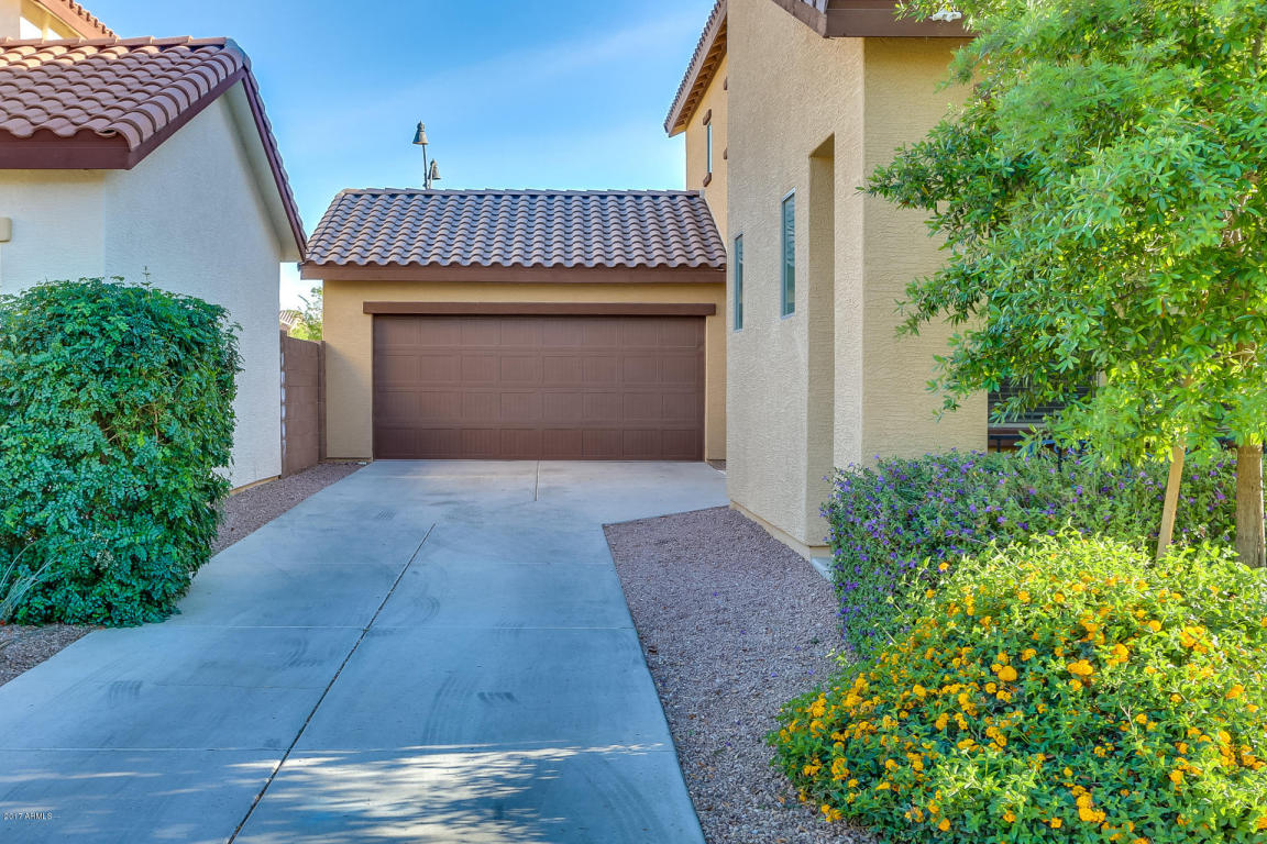 3523 E Tyson St, Gilbert, AZ 85295 photo 2