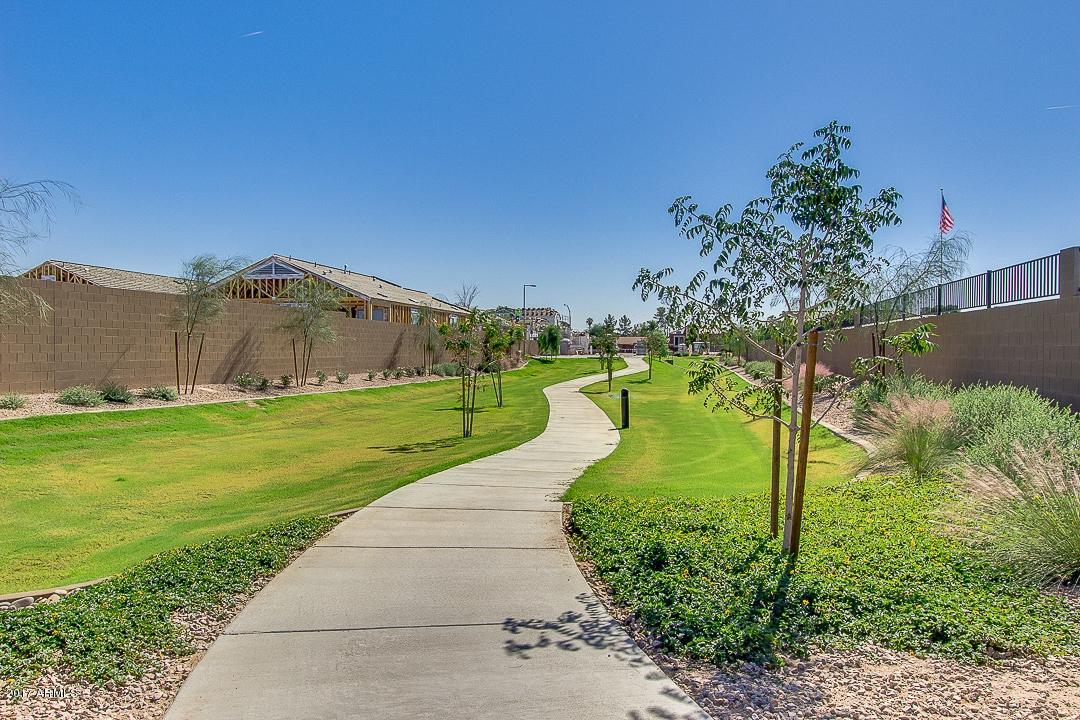 1723 N Hillcrest St, Mesa, AZ 85201 photo 8