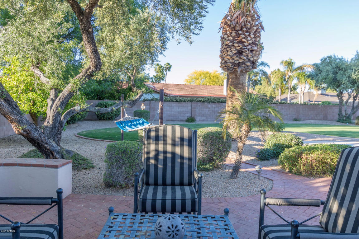 20 E Waltann Ln, Phoenix, AZ 85022 photo 6