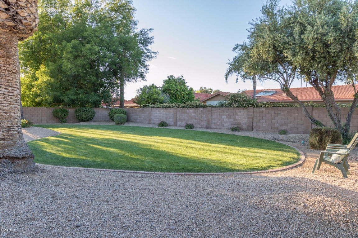 20 E Waltann Ln, Phoenix, AZ 85022 photo 13
