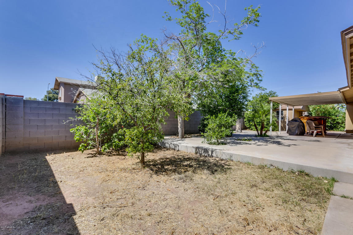 658 E Holmes Ave, Mesa, AZ 85204 photo 29
