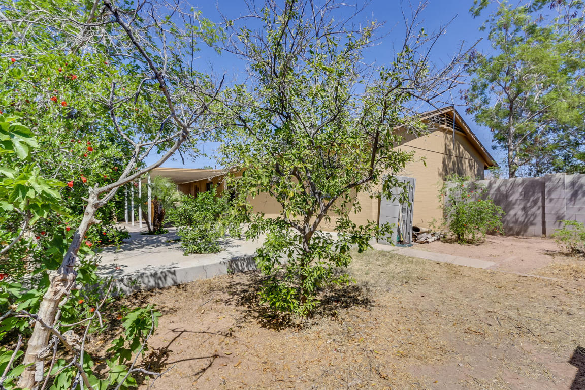 658 E Holmes Ave, Mesa, AZ 85204 photo 30
