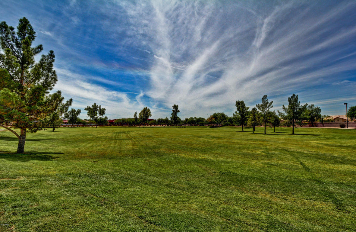 23 E Calavar Rd, Phoenix, AZ 85022 photo 24