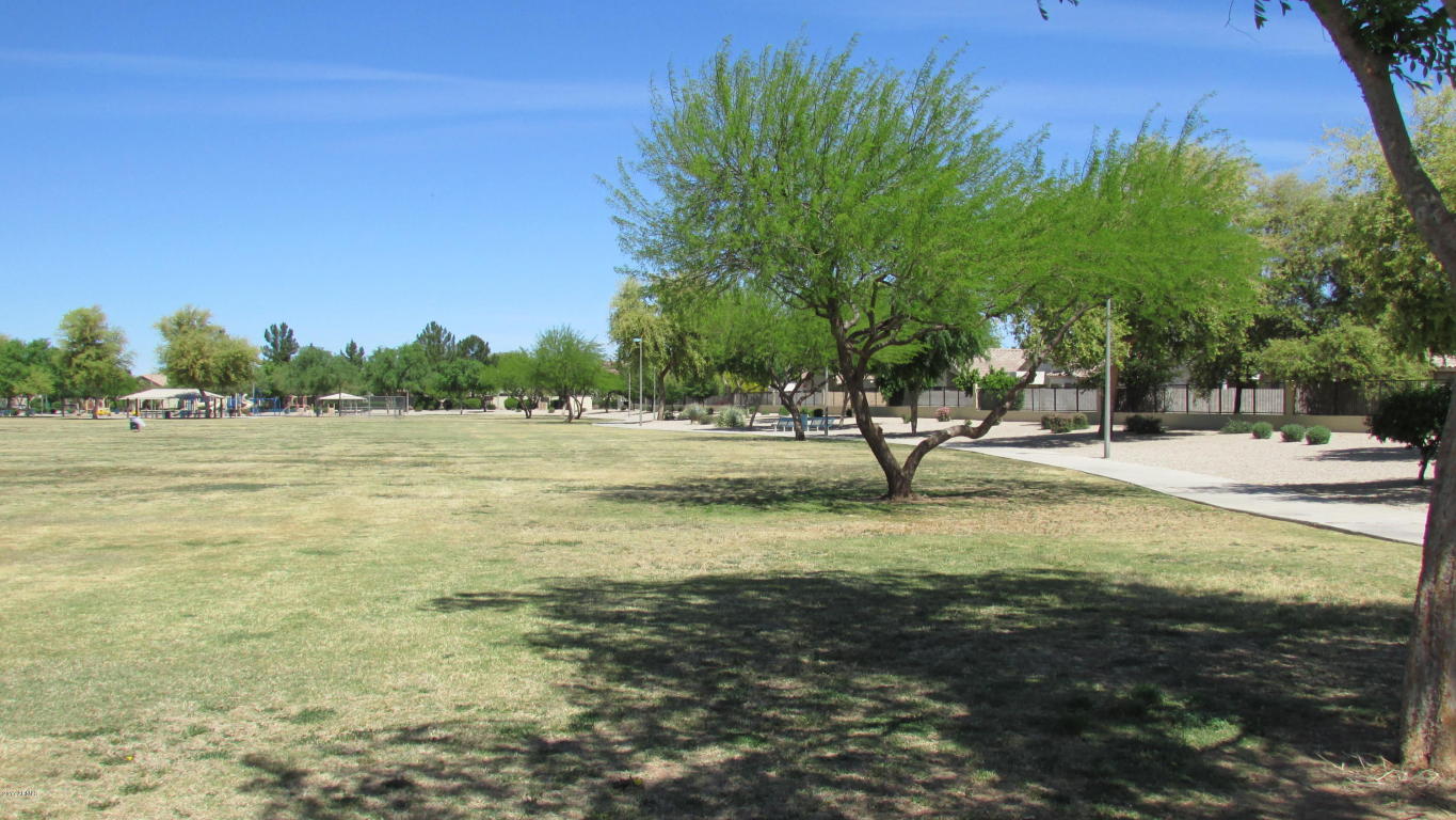 9541 E Naranja Ave, Mesa, AZ 85209 photo 27