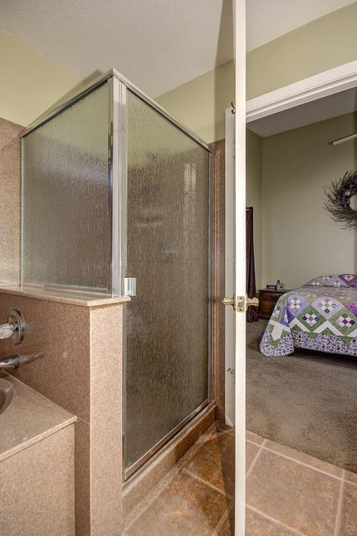 6916 E Lakeview Ave, Mesa, AZ 85209 photo 19