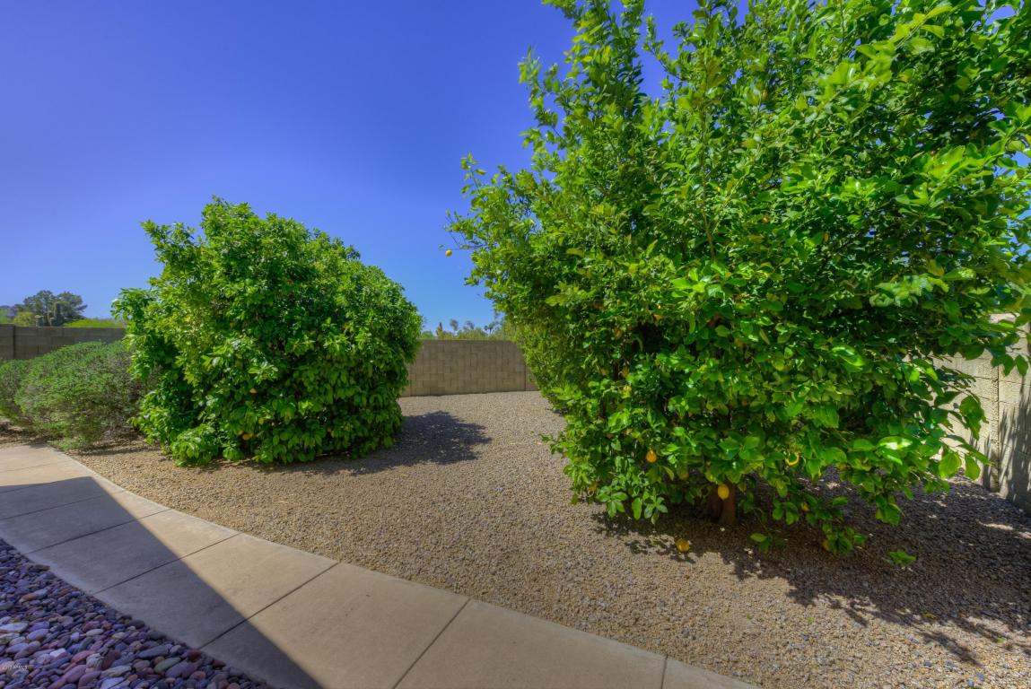 4331 E Via Estrella --, Phoenix, AZ 85028 photo 25