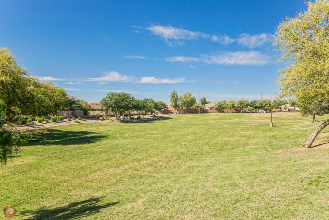 1302 E Indigo St, Gilbert, AZ 85298 photo 48
