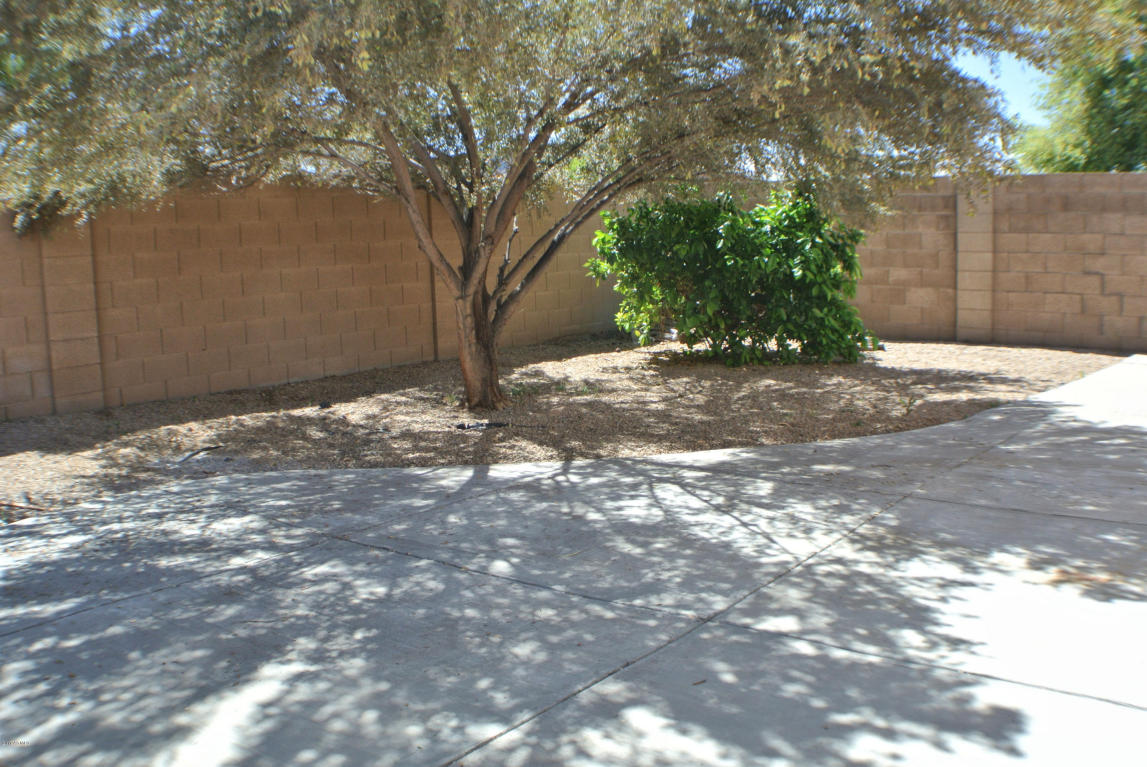 2225 E Paraiso Dr, Phoenix, AZ 85024 photo 15