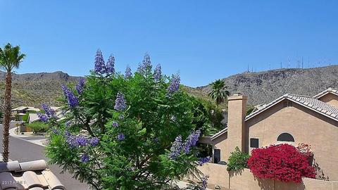 749 E Mountain Sky Ave, Phoenix, AZ 85048 photo 33