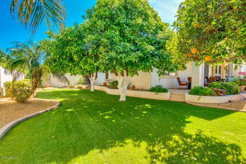 4642 E Downing Cir, Mesa, AZ 85205 photo 53