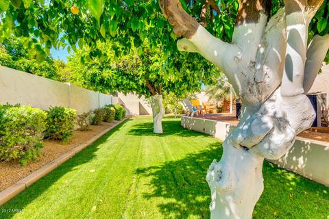 4642 E Downing Cir, Mesa, AZ 85205 photo 60