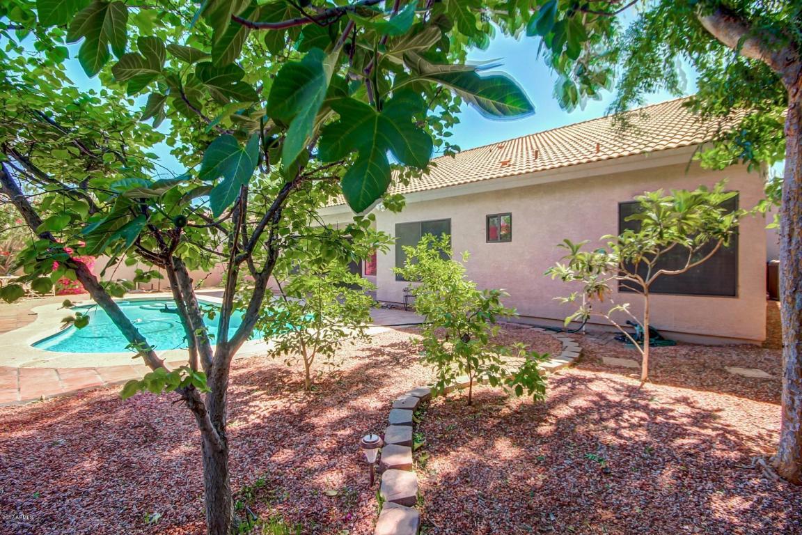 5816 E Julep St, Mesa, AZ 85205 photo 26