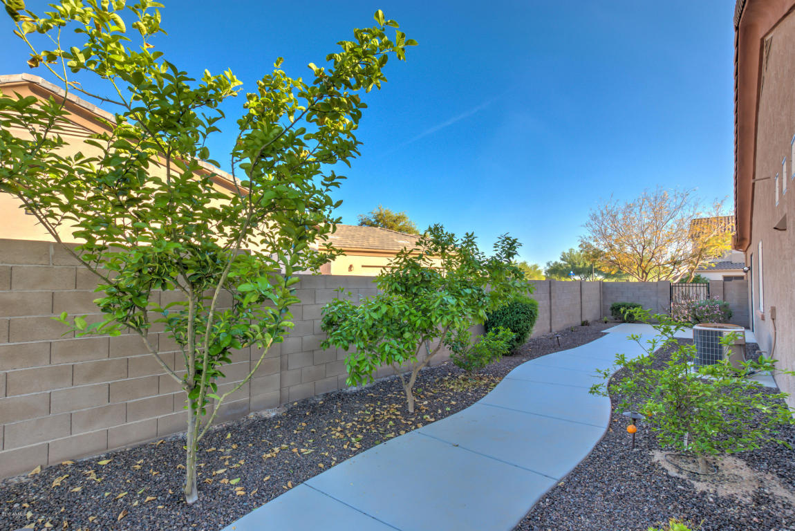 11328 Enrose St, Mesa, AZ 85207 photo 62