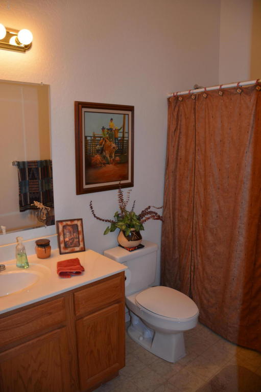 877 S Apache Dream Way, Apache Junction, AZ 85120 photo 20