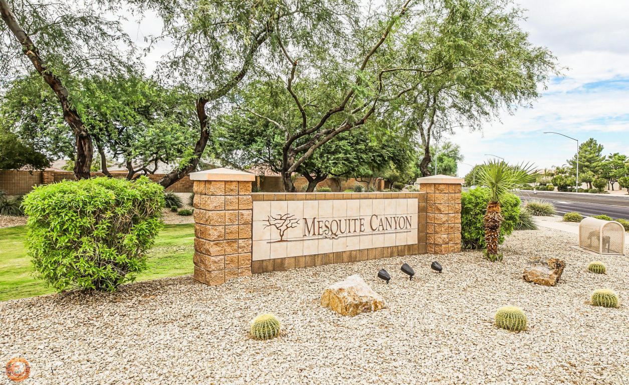 9529 E Osage Ave, Mesa, AZ 85212 photo 43