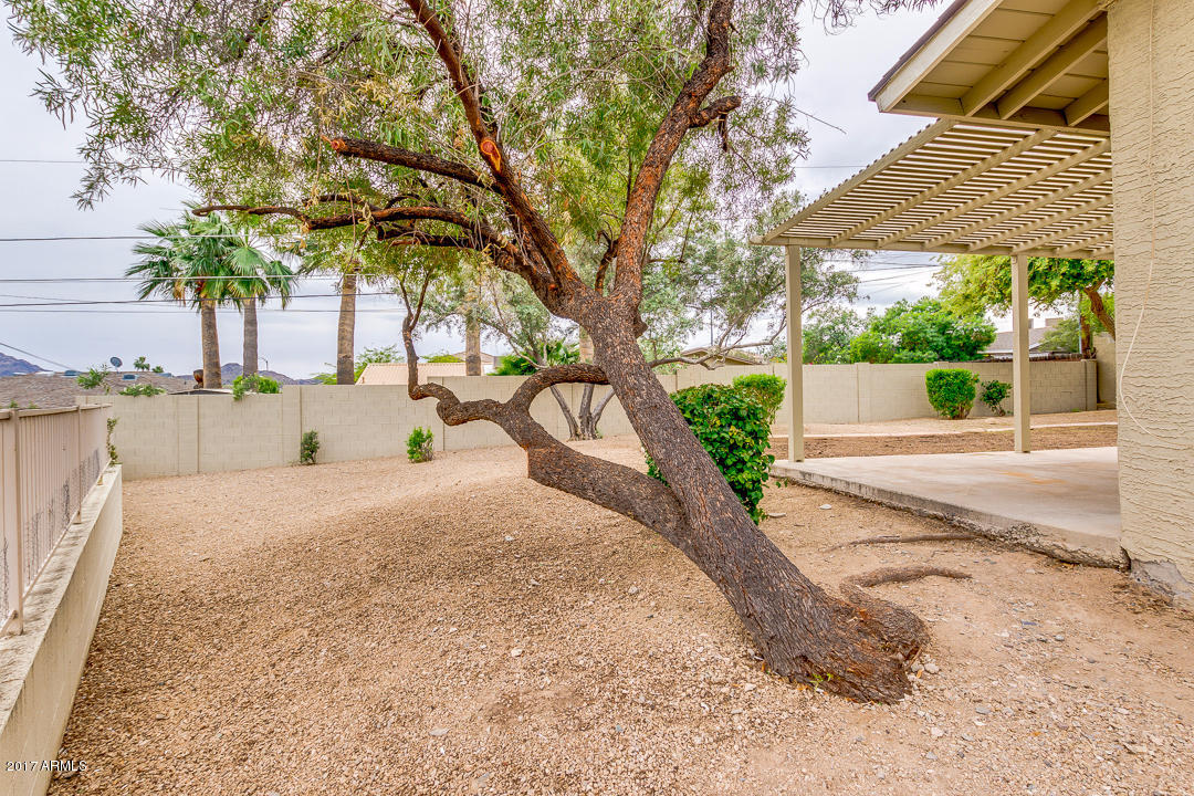 1213 E Yucca St, Phoenix, AZ 85020 photo 25