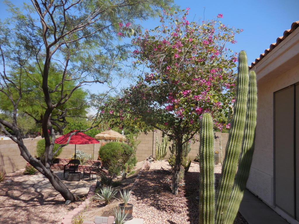 1538 E Desert Ln, Phoenix, AZ 85042 photo 15