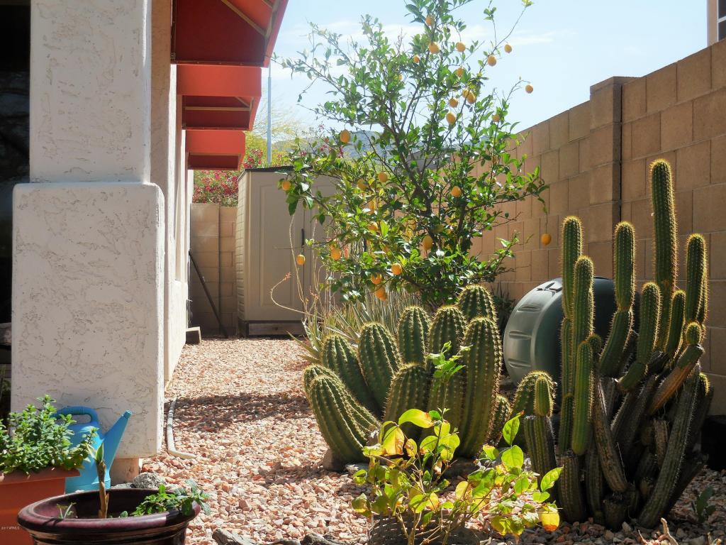 1538 E Desert Ln, Phoenix, AZ 85042 photo 19