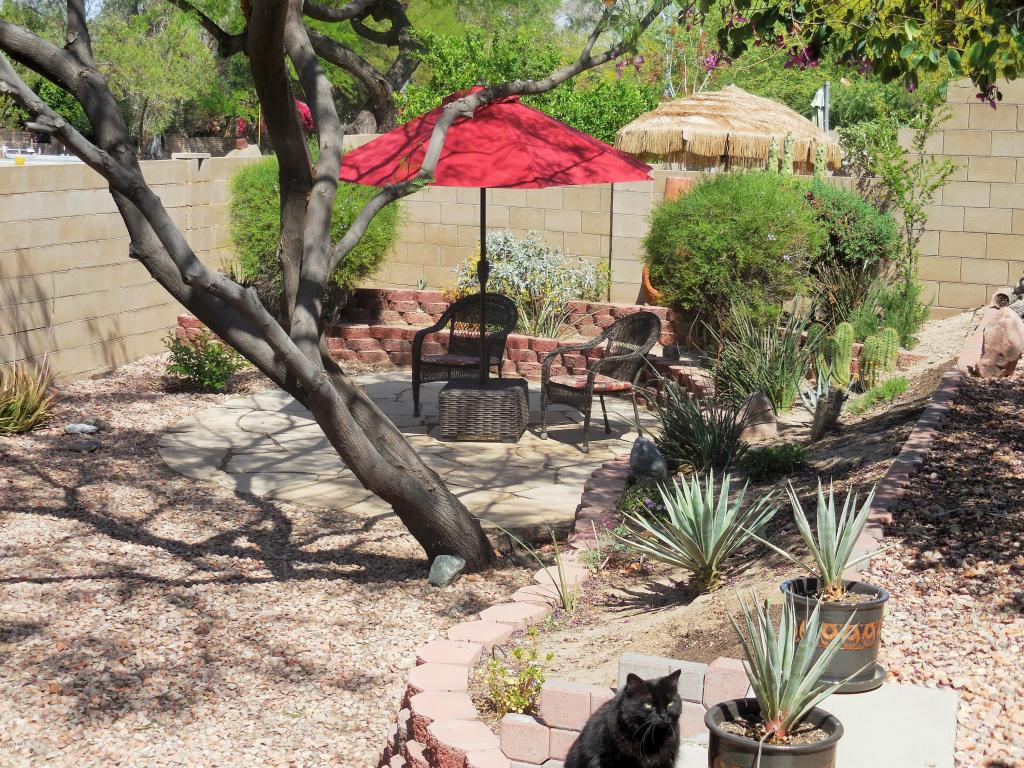 1538 E Desert Ln, Phoenix, AZ 85042 photo 14