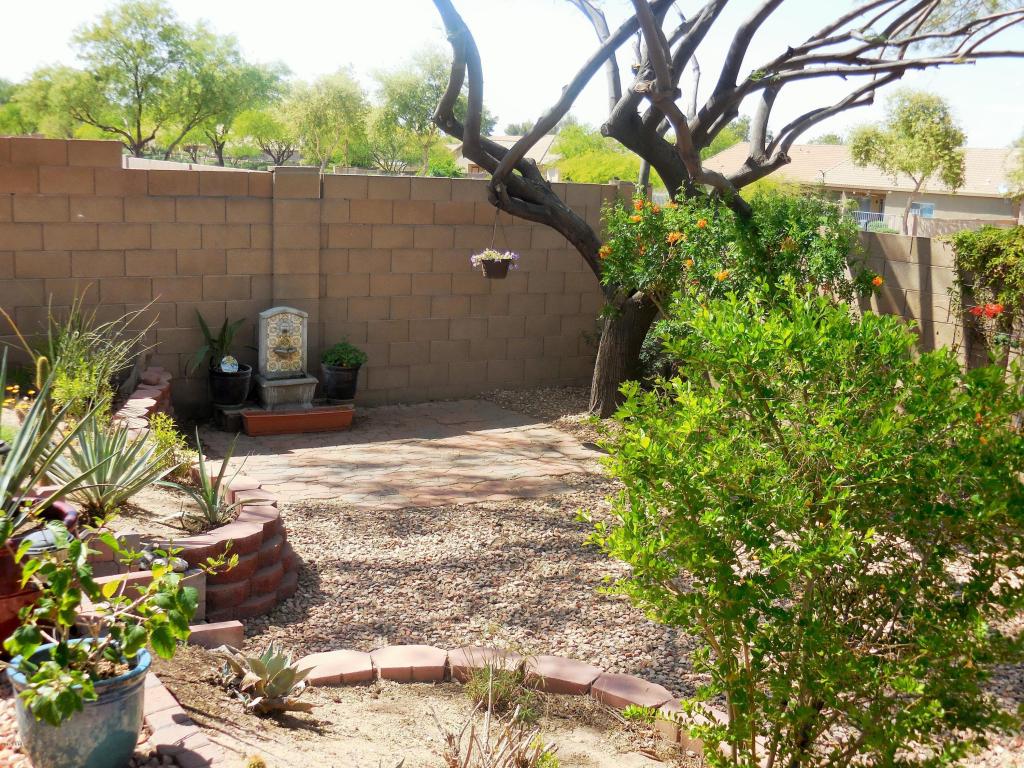 1538 E Desert Ln, Phoenix, AZ 85042 photo 16