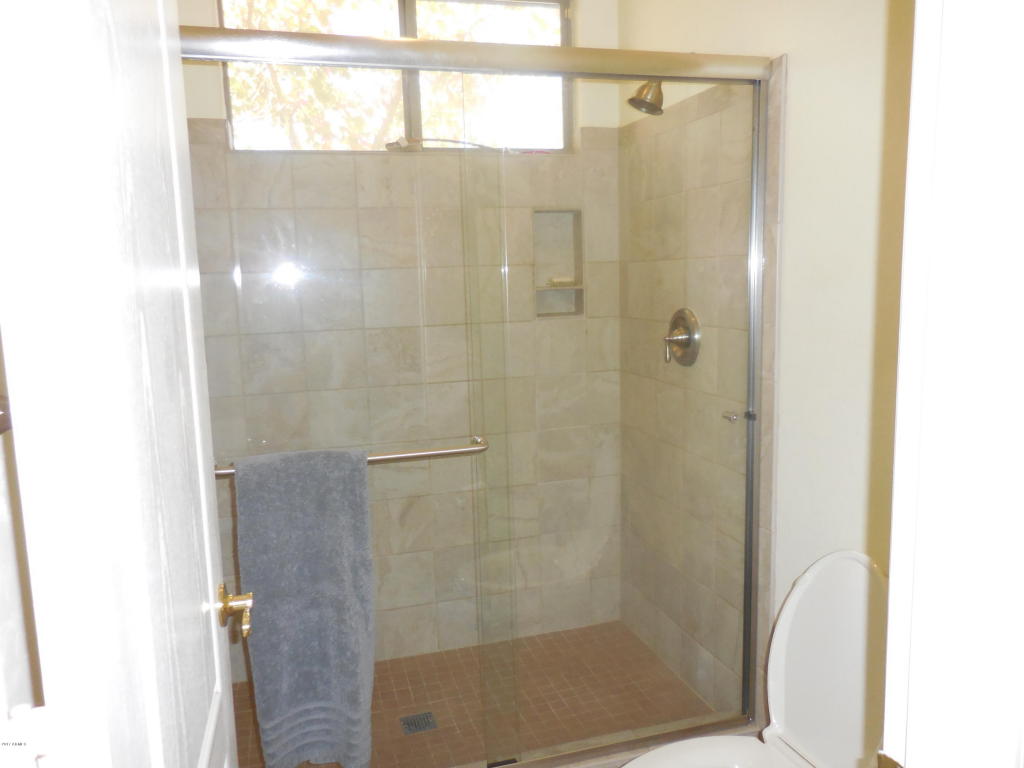 1538 E Desert Ln, Phoenix, AZ 85042 photo 26