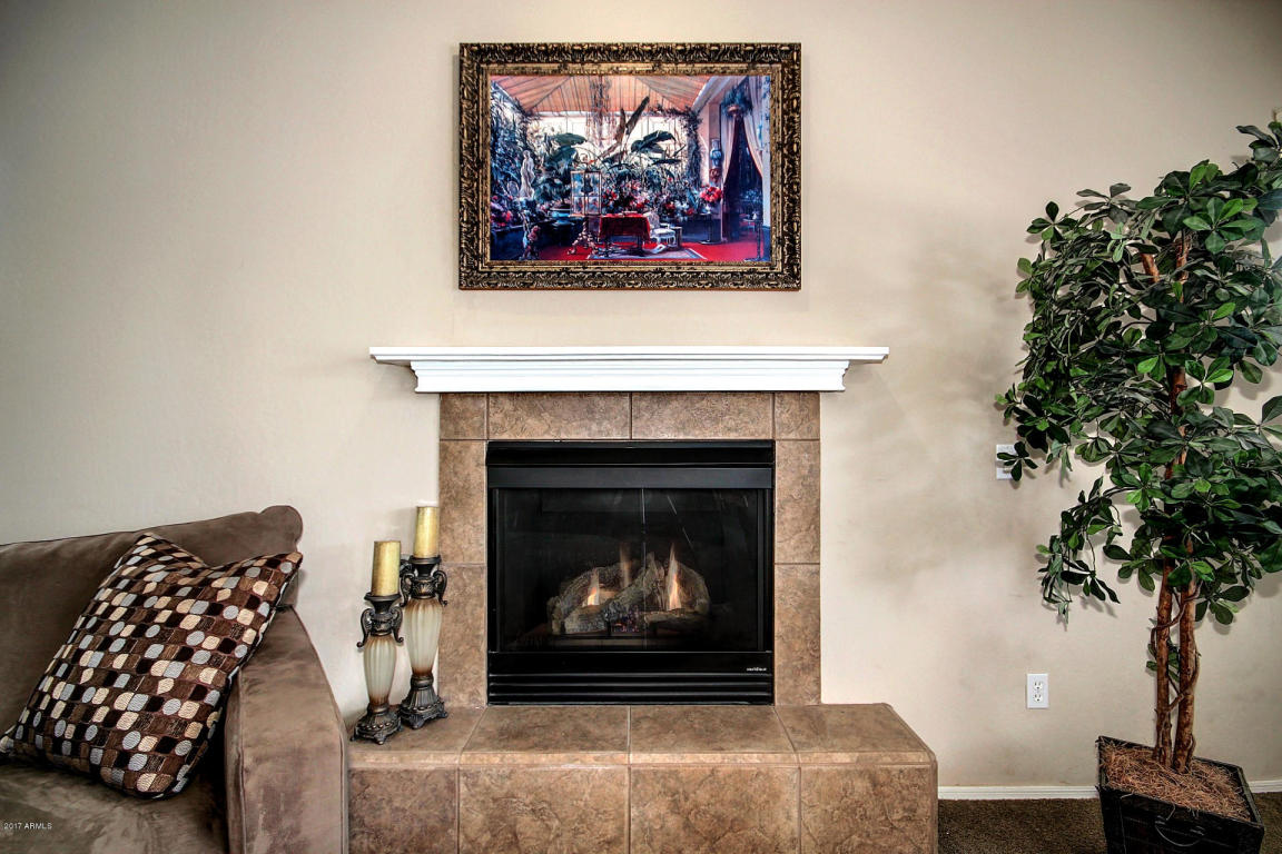 11335 E Starkey Ave, Mesa, AZ 85212 photo 16